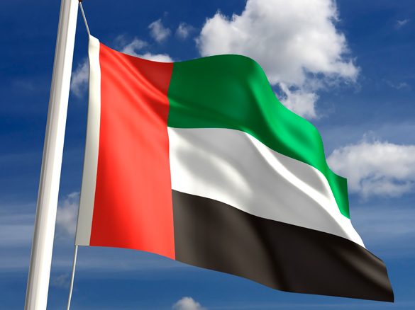 Over 14,000 participate in UAE Flag Day celebrations at Sheikh Zayed Grand Mosque
